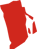 RI_red icon